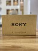 Sony FX30