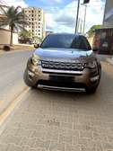 Land Rover Discovery Sport HSE2019