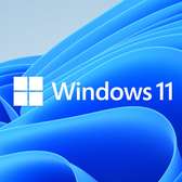 Systeme Windows 10 et 11