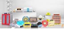 INCUBATEUR (COUVEUSE)