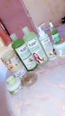 Gamme nila bleu plus gamme jujubier
