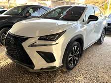 LEXUS NX300 SPORT