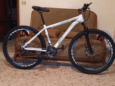 VTT 29 pouces blanc suspension avant