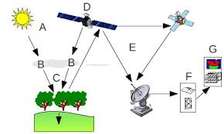 Formation Télédétection
