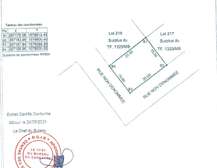 👉 Mbodiène : Terrain angle 300 m² – Zone SAPCO