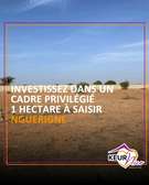 Terrain de 1 hectare à vendre à Nguerigne