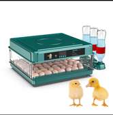 Couveuse automatique