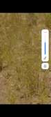 Vente terrain 200 hectares