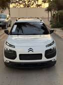 C4 cactus  full options