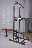Station musculation multifonction banc et dips métal