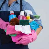 Femme de ménage cherche du travail