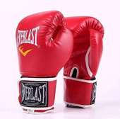 Gant de boxe Everlast professionnel