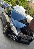 HYUNDAI GRANDEUR VENANT