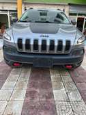Jeep Cherokee Trailhawks