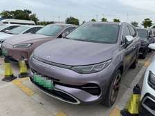 Denza X PHEV 2.0T Flagship 2020