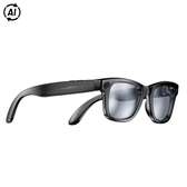 RayBan Meta Disposable