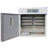 Couveuse automatique capacité 528 œufs