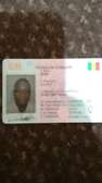 Chauffeur professionnel