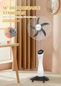 VENTILATEUR RISING 18 RECHARGEABLE
RS8098