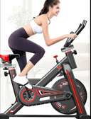 Velo spinning professionnel