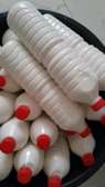 Lait de chamelle frais