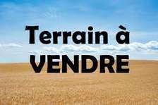 30 hectares a vendre a Bayakh 1er position