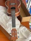 Ukulele á vendre