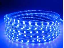 Led en rouleaux 100m, professionnel, IP67