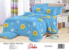 Drap