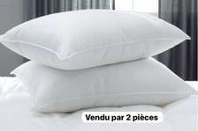 Oreiller orthopedique paire