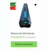 Batterie de Vélo Électrique (GIANT)