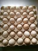 Œufs de poulets locaux (Guinar wolof)