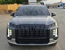 2021 Hyundai palissade 2024