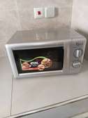 Micro ondes Roche