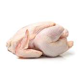 Vente de poulet de chairs