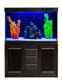 Aquarium