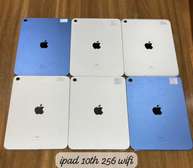 iPad 10th génération 256 Go