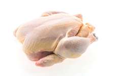 Poulet