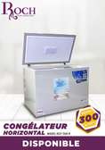 CONGELATEUR 300LITRES ROCH HORIZONTAL GRIS RCF300l