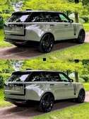 Chauffeur professionnel