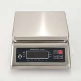 Balances  électroniques Étanche  et étalonnée