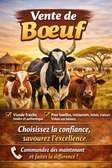 VENTE DE BOEUFS SÉNÉGAL