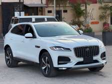 Jaguar _2022