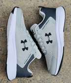 Chaussures Sport