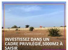 Terrain de 5000m2 à vendre à Nguerigne