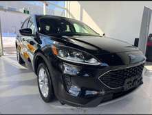 Ford escape 2020