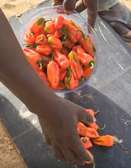 Piment a vendre