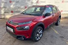 C4 CACTUS