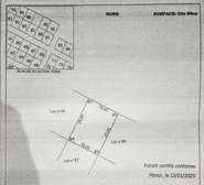 Terrain de 300 m2 à vendre Lotissement Guereo Manguiers