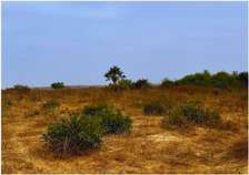 TERRAIN EN VENTE A YENNE